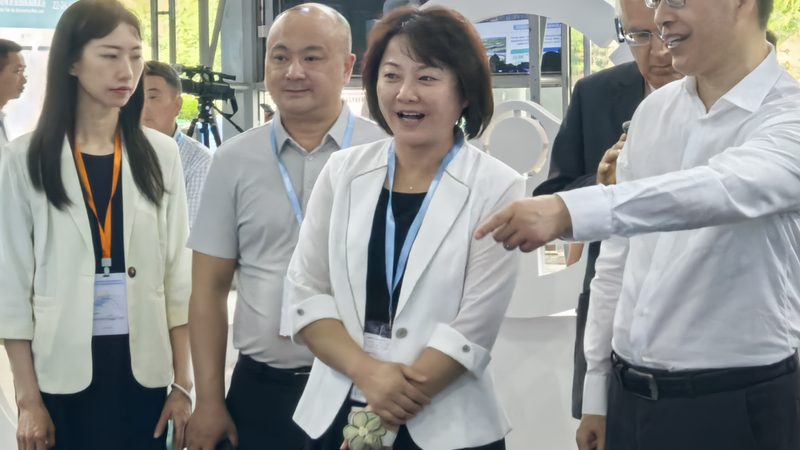挖掘机底盘配件型号背后的选型逻辑